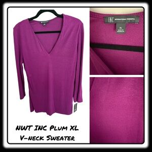 NWT INC Plum ribbed sweater/top 3/4 length sleeves